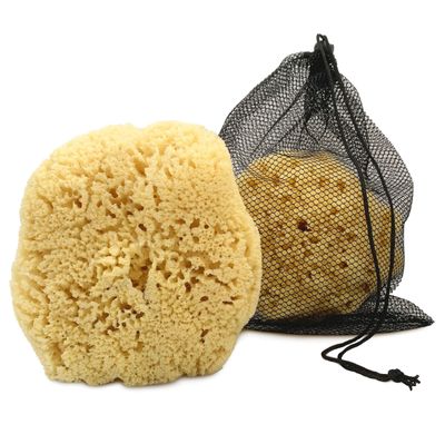 Real Sea Sponge for Men - Extra Large 6&quot;-7&quot;, Totally Natural, Kind on Skin for an Invigorating Shower, Supplied in Breathable Mesh Bag. Great for The Gym, Grooming, Bath &amp; Body Gift by Constantia Man