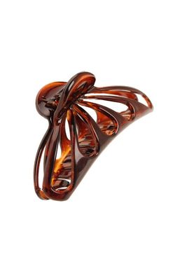 France Luxe Little Nautilus Jaw - Tortoise
