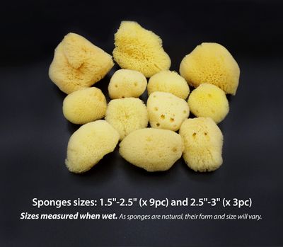 Natural Sea Silk Sponges 12pk: Size 9pc x1.5"-2.5" 3pc x 2.5"-3", like Cotton Balls, for Cosmetic Use, Makeup Application & Removal, Face & Eye Cleaning, with Luxury Gift Bag by Constantia Beauty