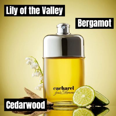 Cacharel Pour Homme, Eau de Toilette for Men, Woody, Spicy With Notes of Bergamot &amp; Cedarwood, 3.4 Fl. Oz.