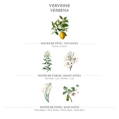Panier des Sens - Verbena Eau de Toilette - Valentines Day Gifts for Women - Light Perfume for Women - Fresh, Floral Fragrance - Gift Ideas for Her - Parfum Made in France - Hair &amp; Body Spray 1.7 Floz