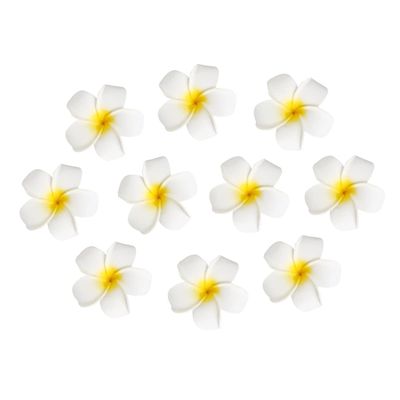 Women&#39;s Hawaiian Plumeria Flower Hair Clip Wedding Bridal Hairpin Barrette Hair Accessories - 10 Pieces