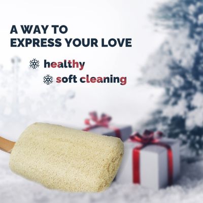 Bleu Bath (2 Pack) Exfoliating Loofah Back Brush Dry Body Brush in 100% Natural and Organic Luffa with Long Wooden Handle Fixed, Scrubber Brush for Men and Women or Even Sensitive Skin