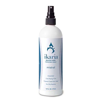 Ikaria Quick Dry Finishing Spray 16 oz