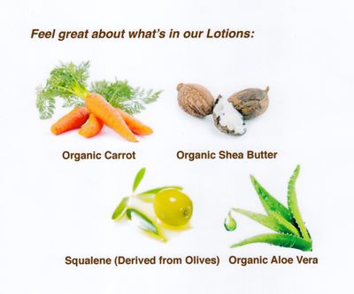 Bronzo Sensuale SPF Sunscreen Deep Golden Tanning Organic Carrot Lotions 8.5 Ounces (SPF 4 Lotion)