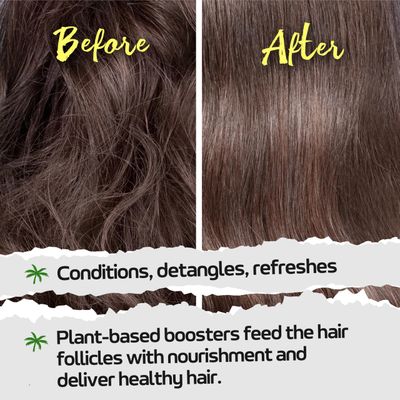 Tropic Isle Living Hair Gro Leave-In Mist 8oz | Jamaican Black Castor Oil with Rose Water, Aloe Vera & Shea Oil Infused | Detangles and Treats Damaged Hair