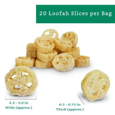 Natural Loofah Slices for Soap Making (20 Pack) - Organic Loufa Slices Cuts - Loofah Bulk - Soap Making Supplies - Natural Luffa Soap Making