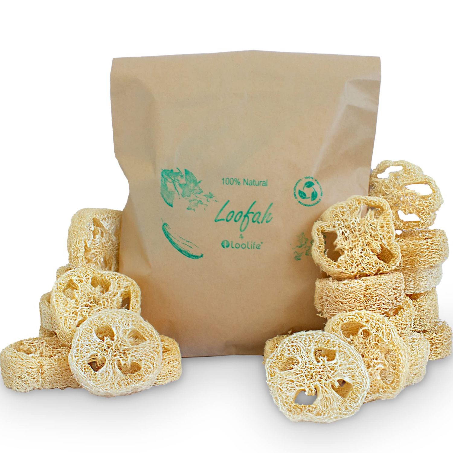 Natural Loofah Slices for Soap Making (20 Pack) - Organic Loufa Slices Cuts - Loofah Bulk - Soap Making Supplies - Natural Luffa Soap Making