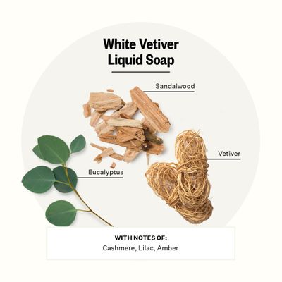 APOTHEKE Liquid Hand Soap, White Vetiver (10 Fl Oz) - Hydrating Hand Wash with Natural Coconut &amp; Aloe Vera