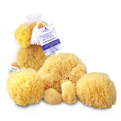 Real Natural Sea Sponges Multipack - 5pc Spa Gift Set in Premium Bag, Kind on Skin, for Bath Shower Facial Cleansing, Pamper Moms Brides Girlfriends &amp; Teens by Constantia Beauty
