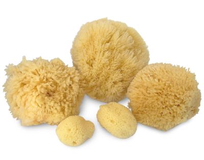 Real Natural Sea Sponges Multipack - 5pc Spa Gift Set in Premium Bag, Kind on Skin, for Bath Shower Facial Cleansing, Pamper Moms Brides Girlfriends &amp; Teens by Constantia Beauty