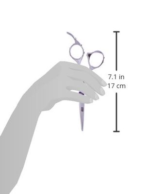 ShearsDirect Japanese Stainless Steel Professional Styling Shear, 6.5 Inch, 10 Ounce