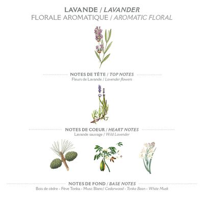 Panier des Sens - Lavender Eau de Toilette - Valentines Day Gifts for Women - Light Perfume for Women - Floral Fragrance - Gift Ideas for Her - Parfum Made in France - Hair &amp; Body Spray 1.7 Floz