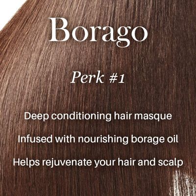 L'ANGE HAIR Deep Conditioning Masque with Borage Oil - 16 Oz Jar, Nourishes and Strengthens Hair, Manages Frizz and Enhances Moisture, Sulfate & Paraben-Free, for Dry Hair, Unisex