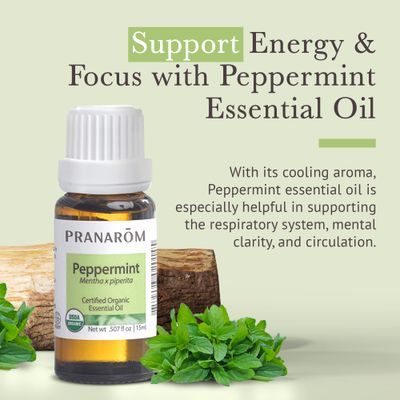 Pranarom USDA Certified Organic Peppermint Essential Oil (15ml), 100% Pure Undiluted Therapeutic Grade from India for Aromatherapy, Diffuser, Topical, Cooling, Massage &amp; Relaxation