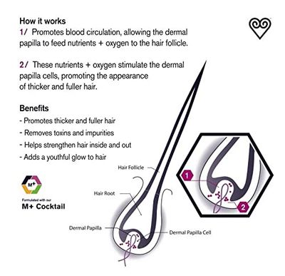 Brand With a Heart Maqui Berry Intense Rejuvinating Scalp Treatment
