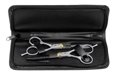 SE 2-Piece Barber and Thinning Scissors Set - SCB201P
