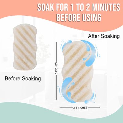Pure SOL. Konjac Exfoliating Bath Sponge - Original Exfoliator Sponge - Konjac Sponge for Sensitive Skin - Deep Cleansing, Clean Pores, Remove Impurities - 100% Natural and Good for All Skin Types