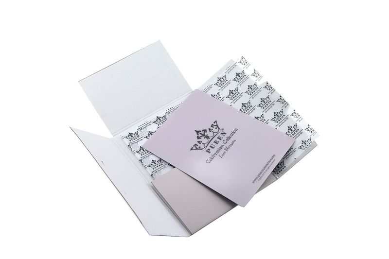 PUEEN 2015 Nail Art Stamping Plate Celebration Collection - LACE BLOSSOM - NEW INVENTION Super Size All You Can Stamp Full Size Stamping Image Plates Manicure DIY (Infinite Images)-BH000475