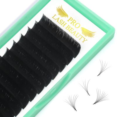 Volume Lash Extensions D-0.10-16 Easy Fan Volume Lashes Flowering Lash Extensions Rapid Blooming Lashes Rapid Blooming Eyelash Extensions 9 to 20 mm Mega Volume Lash Extensions C D curl(D-0.10,16mm)
