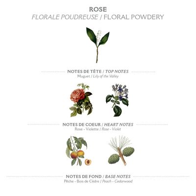 Panier des Sens - Rose Eau de Toilette - Valentines Day Gifts for Women - Light Rose Perfume for Women - Floral Fragrance - Gift Ideas for Her - Parfum Made in France - Hair &amp; Body Spray 1.7 Floz
