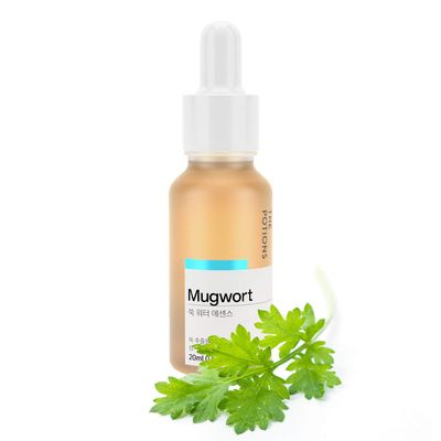 The Potions Serum for Face (Mugwort Essence)