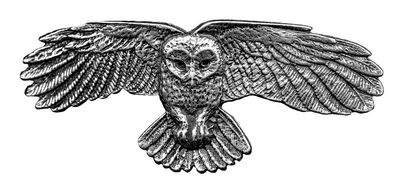 Owl Hair Clip, Hand Crafted Metal Barrette Made in the USA with a Medium 70mm Clip By Oberon Design