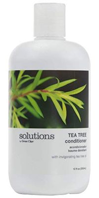 GREAT CLIPS Solutions Tea Tree Conditioner 12 fl oz | Tea Tree and Peppermint Oils | Detangle and Condition | For All Hair Types