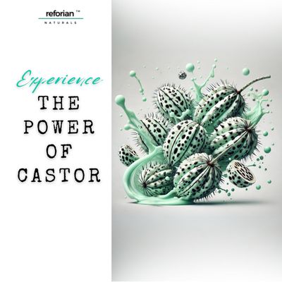 Castor Oil 2 in 1 Shampoo and Conditioner Men & Women Castor Oil Shampoo and Conditioner for Hair Growth Products Shampoo and Conditioner 2 in 1 Castor Oil for Hair Growth Shampoo and Conditioner Set