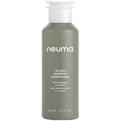 NEUMA Re Neu Shampoo 8.5 Fl. Oz. Revitalizing, Soothing &amp; Gentle Cleansing Sulfate Free Shampoo, Peppermint &amp; Vanilla Scent