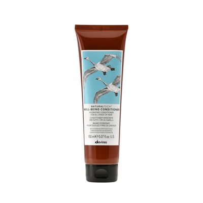 Davines Naturaltech WELLBEING Conditioner, Detangle While Adding Moisture And Shine, Leave Hair Easy To Style, 5.07 fl. oz.