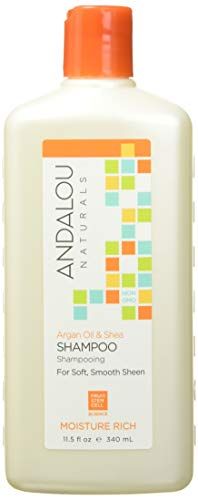 Andalou Naturals Argan Oil &amp; Shea Moisture Rich Shampoo, Orange, 11.5 Ounce