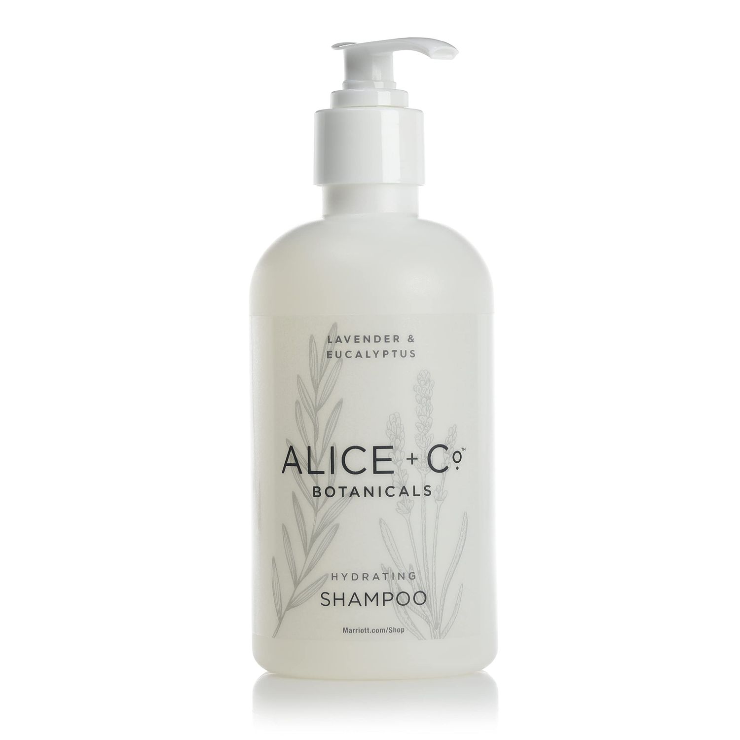 Alice + Co. Shampoo - Fairfield by Marriott - TownePlace - SpringHill - Hotel Bath Amenities - Lavender &amp; Eucalyptus - 8.5oz Shampoo