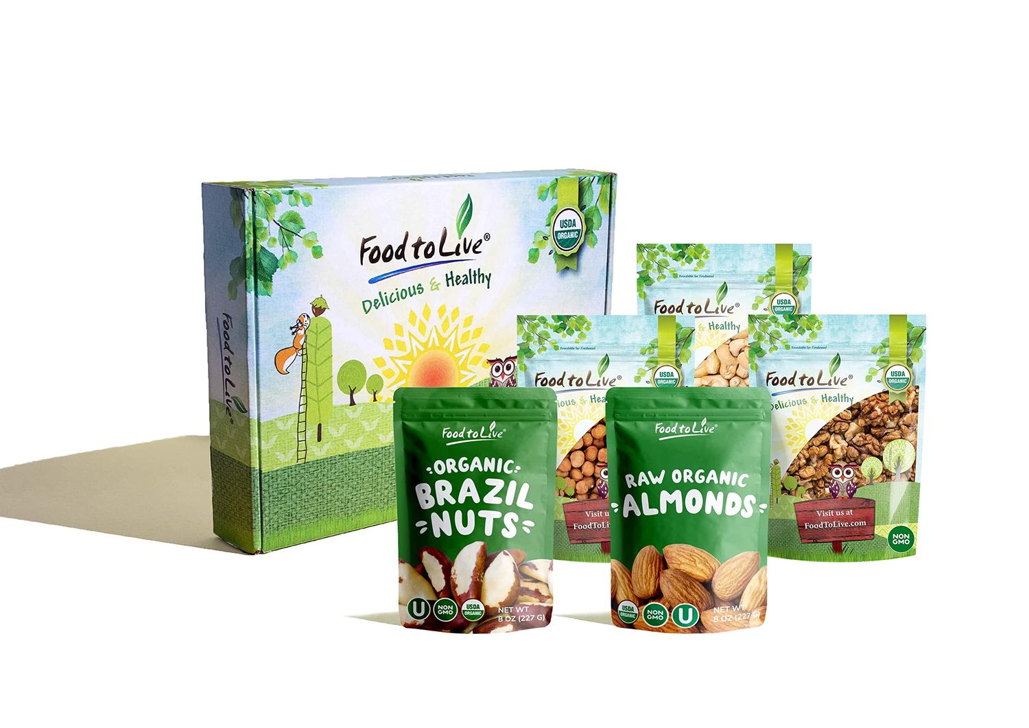 Food to Live Organic Raw Nuts in a Gift Box - A Variety Pack of Almonds, Cashews, Brazil Nuts, Hazelnuts, and Walnuts
