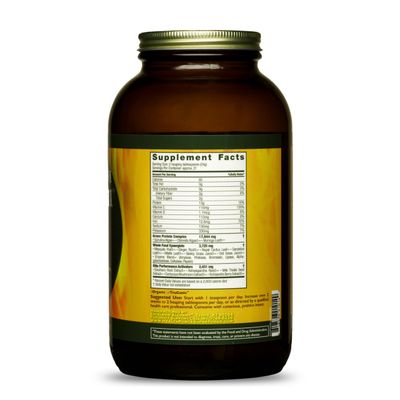 HealthForce SuperFoods Elite Green Protein - 500 g Powder