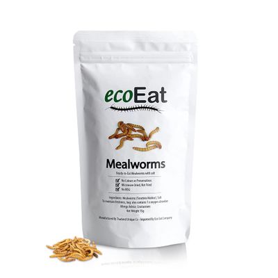 ecoEat Edible Insects Edible Mealworms (Tenebrio Molitor) - 15g Bag - Edible Snack Gift