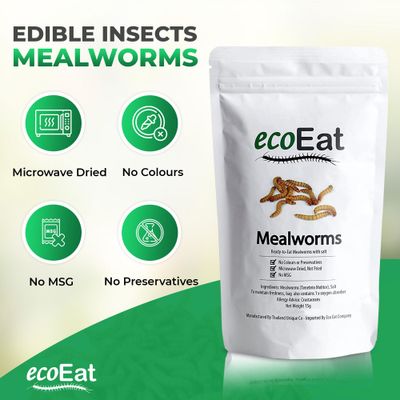 ecoEat Edible Insects Edible Mealworms (Tenebrio Molitor) - 15g Bag - Edible Snack Gift