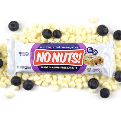 No Nuts! 100% Nut Free Dairy Free Vegan Protein Bars, Blueberry &amp; Vanilla, Organic, Kosher, Egg-Free, Non-GMO &amp; Dairy-Free Protein Bars