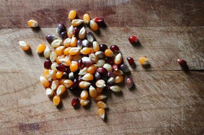 Shiloh Farms Organic Multicolor Popcorn Kernels - 16 Ounce Bag - A wholesome, healthy snack you can feel good about