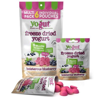 YoGut Freeze Dried Yogurt Snack, Blueberry, 6 Pack, Healthy Snacks for Kids, Toddlers &amp; Adults, Gluten Free, Non GMO, With 5 Billion Live Probiotics, Vitamins &amp; Minerals, Individual Snack Packs