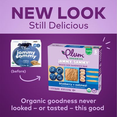 Plum Organics Jammy Sammy Snack Bars - Blueberry and Oatmeal - 1.02 oz Bars (Pack of 30) - Organic Toddler Food Snack Bars