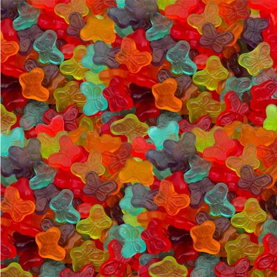 Butterflies Gummy Candy  1-Pound Pack  Assorted Fruit Flavors