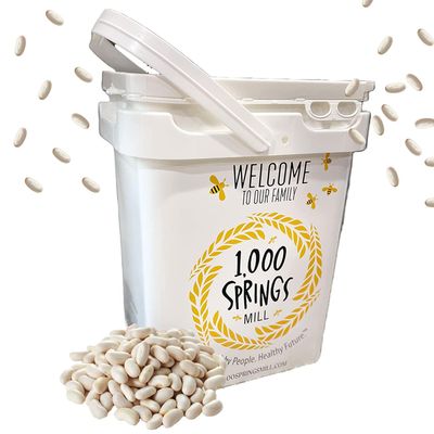 1000 SPRINGS MILL - Organic Great Northern Beans 25lb Bulk Bucket - Used for Salads, Soups, Stews, Casseroles, Chili, and Snacks - Bulk Dry White Beans - Vegan Friendly
