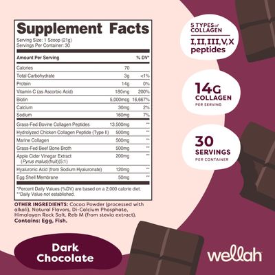 Wellah The Afterglow Multi Collagen Protein  Beauty (Dark Chocolate Flavored) 30 Servings