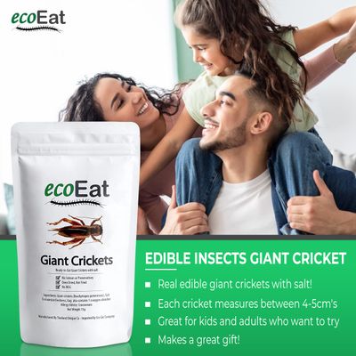 ecoEat Edible Insects Giant Crickets - 15g Bag - Edible Snack Gift
