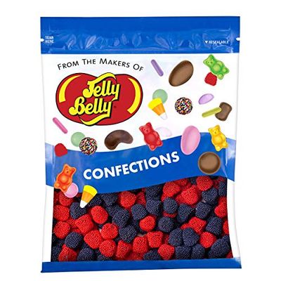 Jelly Belly Strawberries and Blueberries Candy - 1 Pound (16 Ounces) Resealable Bag - Genuine, Official, Straight from the Source