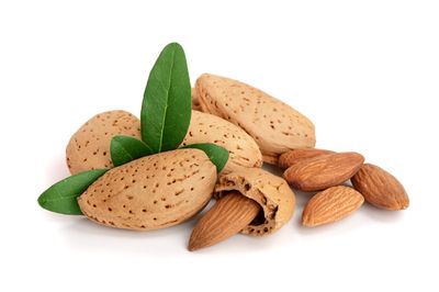 Anna and Sarah Almonds In Shell, Raw, Natural, Whole, Jumbo California Almonds, in Box, 8 Lbs