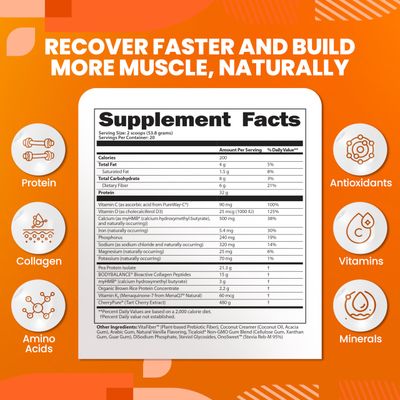 SaltWrap Protein Clinic - Total Body Recovery Shake with Collagen Peptides, HMB, Tart Cherry Extract, Pea Protein Isolate and Prebiotic Fiber for Joints & Muscle Recovery - Vanilla Cream