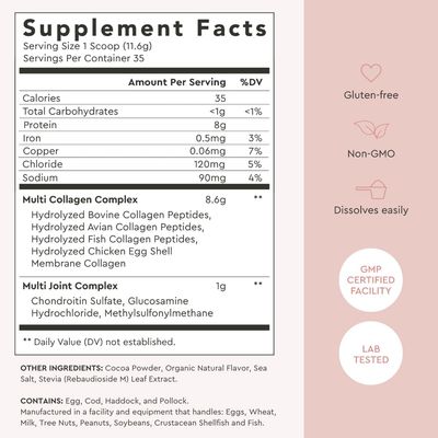 Alaya Multi Collagen Powder - Type I, II, III, V, X Hydrolyzed Collagen Peptides Protein Powder Supplement with MSM  GC (Chocolate)
