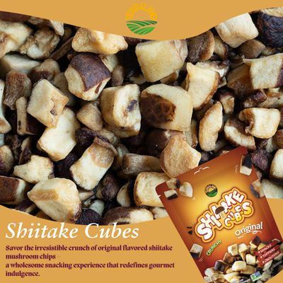 Terraland Shiitake Cube - Original, Crispy &amp; Crunch Mushroom Snack, Non GMO, Vegan Snack 2.12oz Bag - Pack of 2